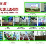 Dried Goji Berry thumbnail-2