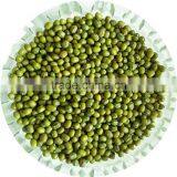 JSX Dried Mung Bean Price Small Size Selected Price for Green Mung Beans thumbnail-6