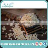 Dried Sweet Apricot Kernel Slice for Food Industry thumbnail-2