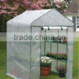 Large Walk-In Greenhouse thumbnail-1