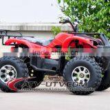 800/1000w 60V Electric Atv With CE thumbnail-6