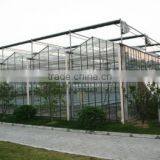 The Cheapest XINHE Single-span/multi-span Glass Green House thumbnail-1