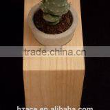 Concrete Mini Planters in Wooden Frame thumbnail-3