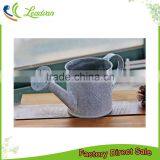 Top Seller Indoor Decorative Antique Garden Metal Watering Can for Home Deco thumbnail-1