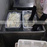 EU Stand Squid Tube Frozen thumbnail-5