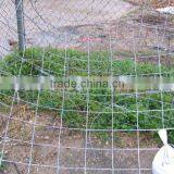 Galvanized Welded Wire Mesh