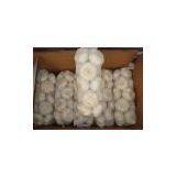 New Crop Fresh Garlic thumbnail-2