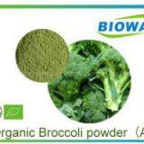 Organic Broccoli Powder