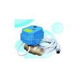 Electrical Ball Valve -- 60N (AC7003) thumbnail-1