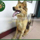 Lisaurus-KL Real Size Animatronic Dog Model for Office