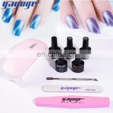 Beauty care product the nail & beauty studio Manicure Set cat eye gel magnet gels set for girls