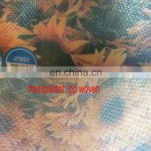 10kg 15kg 20kg 25kg Agricultural Bopp Laminated pp Woven Sunflowers /corn Seeds Packaging Sack Bag thumbnail-4