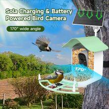 Outdoor AI Smart Bird Feeder Camera 2.0MP IP65 Waterproof IP Bullet Style Night Vision and WiFi Features Recognizes Bird Species thumbnail-2
