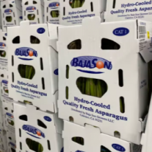 Versatile PP Corrugated Box – Packaging Solution for Fresh Agricultural Goods