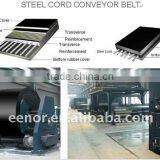 Steel Wire Cord Rubber Belt Vulcanizing Press