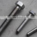Grade A hex head fine thread titanium bolts DIN 961