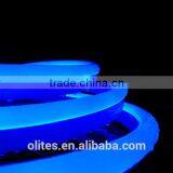 2016 New Product China No MOQ Customized Length Flexible LED Neon Strip Light for Indoor Lighting thumbnail-2