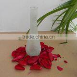 Hot Sales Bulk 100ml Glass Reed Diffuser Glass Bottle With Beads for Home Decoration