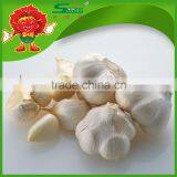 Chinese Cheap Garlic Wholesale Garlic 5.0-6.0cm China Garlic Price 2013 thumbnail-3