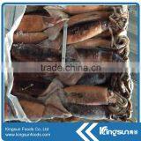 Frozen Argentinus Argentina Illex Squid Exporter thumbnail-3