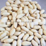 long type blanched peanut kernel