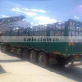 Buy Big Siz BLACK MELON SEEDS thumbnail-6