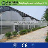 Excellent Material Agriculture Greenhouse/Low Cost Green House thumbnail-2