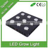 OEM ODM Spectrum 1440W Cob Led Grow Light for Greenhouse
