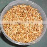 Dried Mealworms With Best Quality and Reseasonable Price thumbnail-4