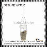 Glass Ball With Sea Life and Water Inside YSG1601Home Decoration thumbnail-1