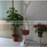 Wooden Clothes Tree/clothes-rack/(coat) Hanger thumbnail-4