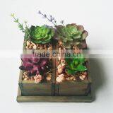Wholesale Ornamental Plants Small Plastic Succulent Plant Bonsai thumbnail-6