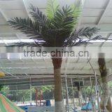 Home Garden Edging Decorative 5ft to 16ft Height Outdoor Artificial Green Plastic Palm Trees EDS06 0820 thumbnail-6