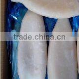 Hot Sale Calamari Tube/Frozen Squid Tube thumbnail-1