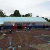 Gracilaria , Spinosum and Cottonii Seaweed thumbnail-4