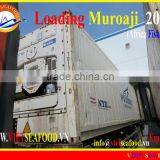 LOADING MUROAJI FOR TUNA BAIT thumbnail-1