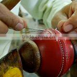 Cricket Ball thumbnail-1