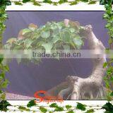 Mini Artificial Plastic Banyan Tree 7ft Fake Curved Trunk for Home Decoration thumbnail-5