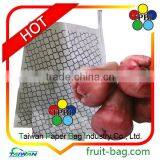 TPBI Taiwan High Quality Fruit Protective Paper Bag for Wax Apple Bellfruit thumbnail-1