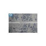 2016 New Style T/C Cotton Stretch Japanese Print Poplin Fabric thumbnail-1