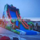Newest Design Top Quality Inflatable Water Slide For Adult thumbnail-6
