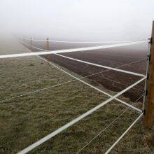 Livestock Electric Fence Electric Polywire Width 2.5mm for Horsse thumbnail-1