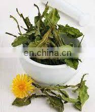 Pure Dried Dandelion Leaves for Herbal Tea/ Organic Pure Dried Dandelion Leaves From Vietnam thumbnail-5