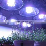 Multifunctional t5 Reptile Lamp With CE Certificate thumbnail-4