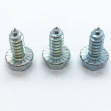 Hex Flange Head Self Tapping Screw Hex Washer Head With/without Serrations Under Head thumbnail-2