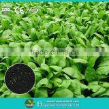 Leafy Crops Special Fertilizer-RSSC Organic Fertilizer thumbnail-1