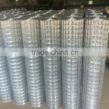 PVC Coated or Galvanzied Welded Wire Mesh (Only for You) Anping Mesh thumbnail-2