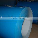 pre-paint galvanized steel sheet/coil