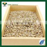 Best Price Arabica Green Coffee Beans thumbnail-2