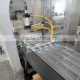 DPP-250Y Honey Blister Packing Machine thumbnail-5